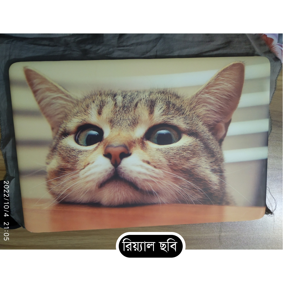 Character Illustration Laptop Stickers & Laptop Skin Waterproof Removable Laptop Sticker (10.5X15.5) - LSKN3860 - Urban Sticker. 