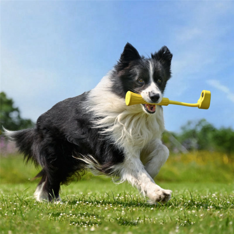 For Insta360 GO 3 Pet Mouth Bite Selfie Stick Record Unique Perspective Rubber Material Professional Accessories. 
