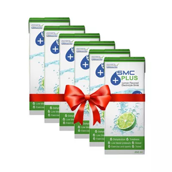 SMC Plus Lemon Flavored Electrolyte Drink 250ml ( 6 pcs combo)