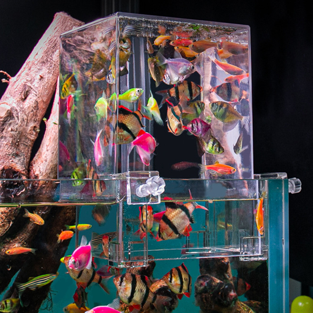 Acrylic Fish Tower Aerial Extender Fish Tank For Ecological Landscaping Convenient Observation Viewing Area Increase Bigger Space. 