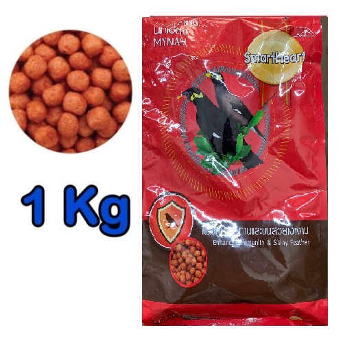 SmartHeart Original Mayna Shalik bird food with all vitamins - Enhanced Immunity & Shiny Feather 1KG. 