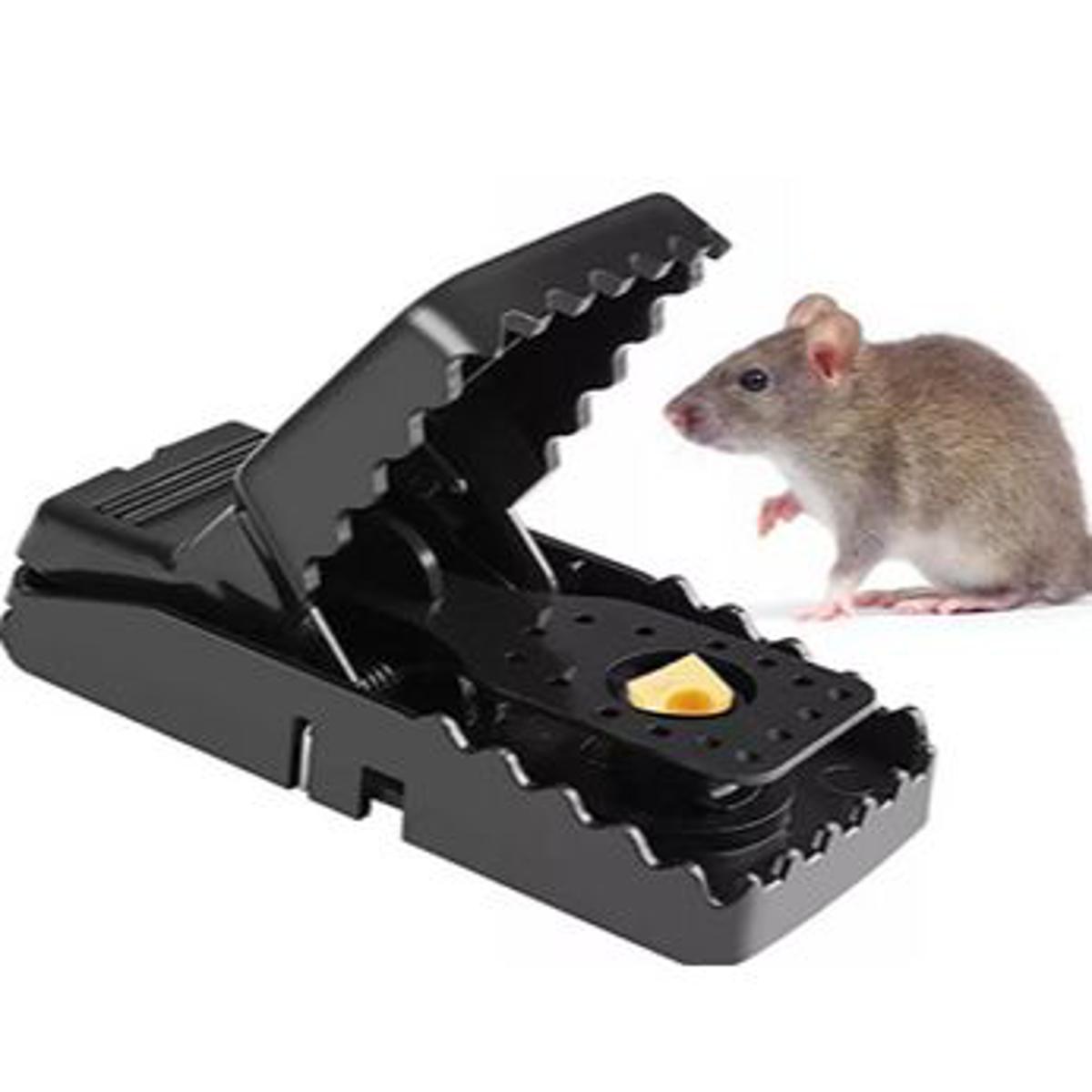 Plastic mouse trap 1 pcs made in china