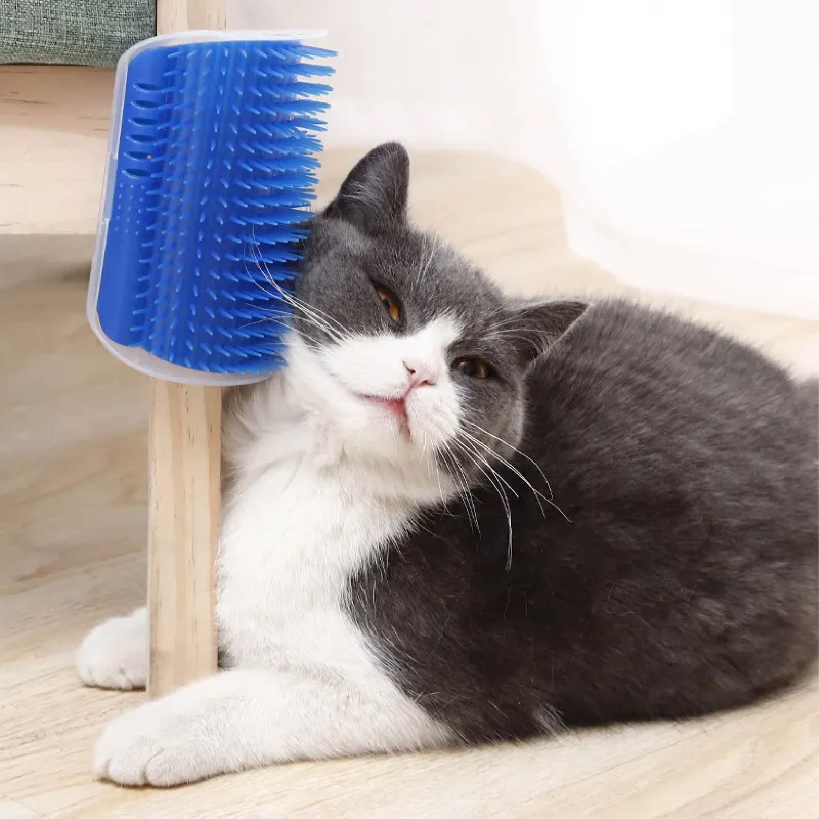 Catit Self Groomer with Catnip Wall Corner Groomers Soft Grooming Brush Massage Combs for Cat With Catnip Cat Self Groomer. 