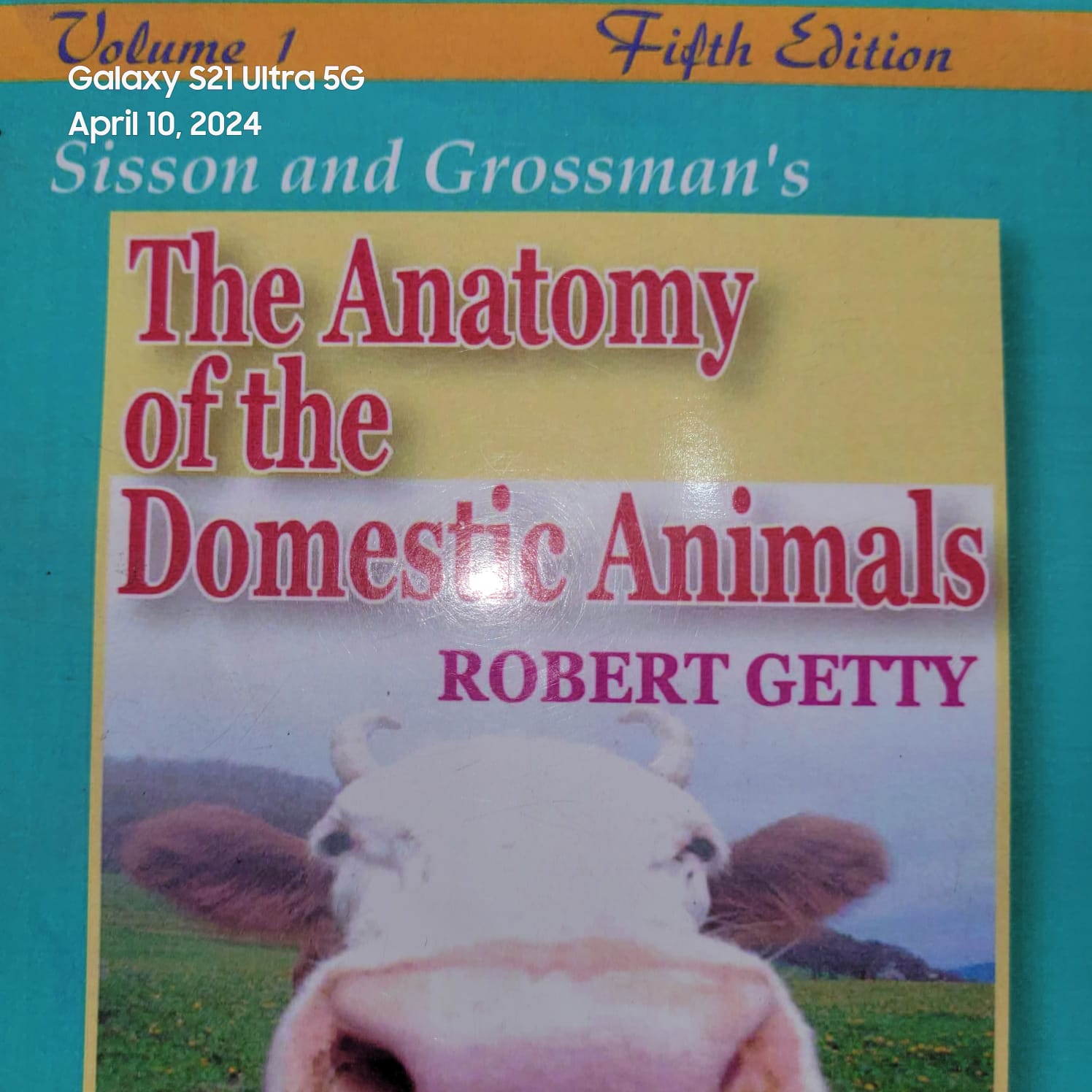 Sisson and Grossman's the Anatomy of the Domestic Animals By  Robert Getty (Volume 1)