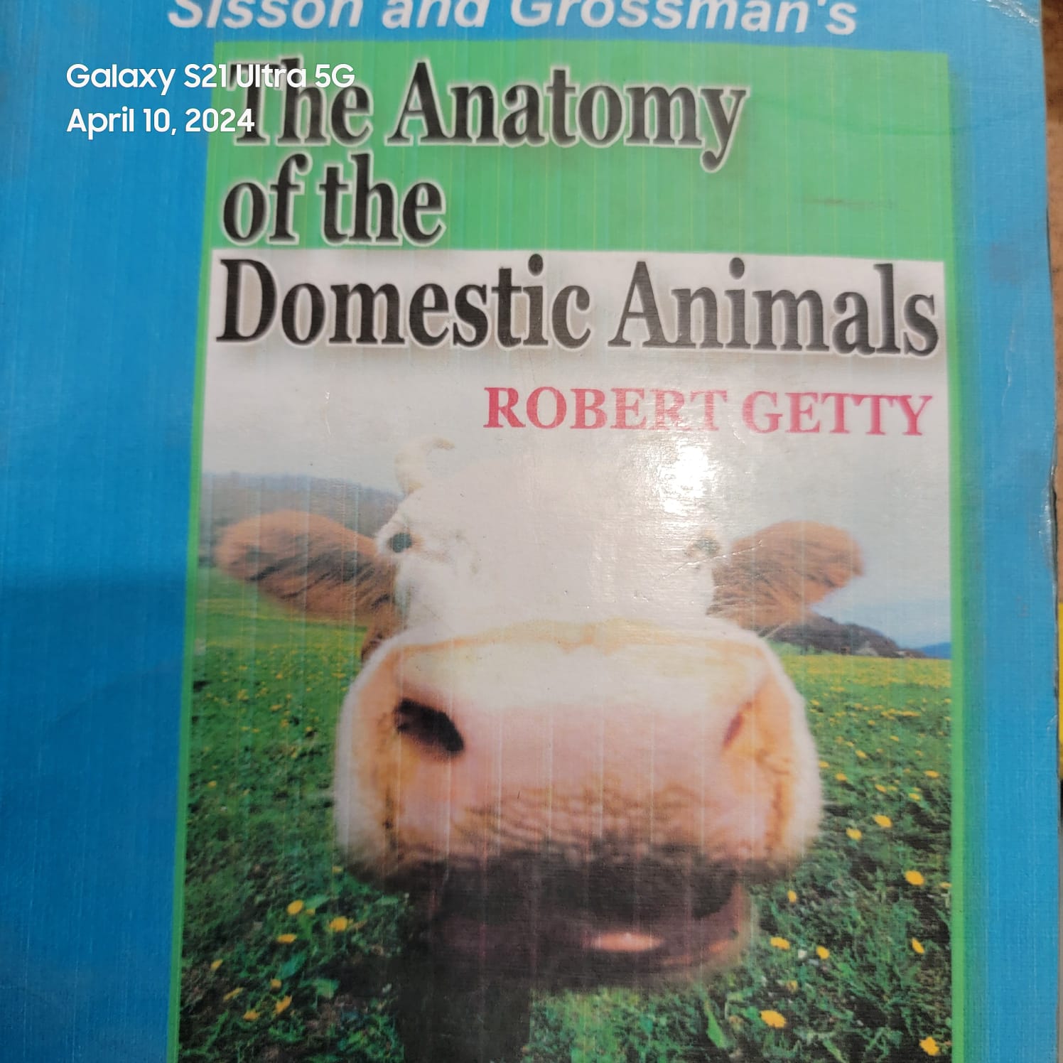 Sisson and Grossman's the Anatomy of the Domestic Animals By  Robert Getty (Volume 2). 