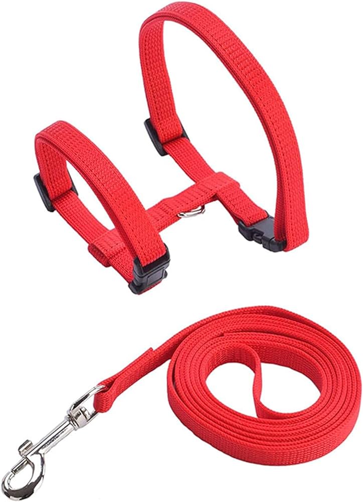 Adjustable Nylon Pet Cat Harness and Leash ~ Kitten Belt Collar with lead