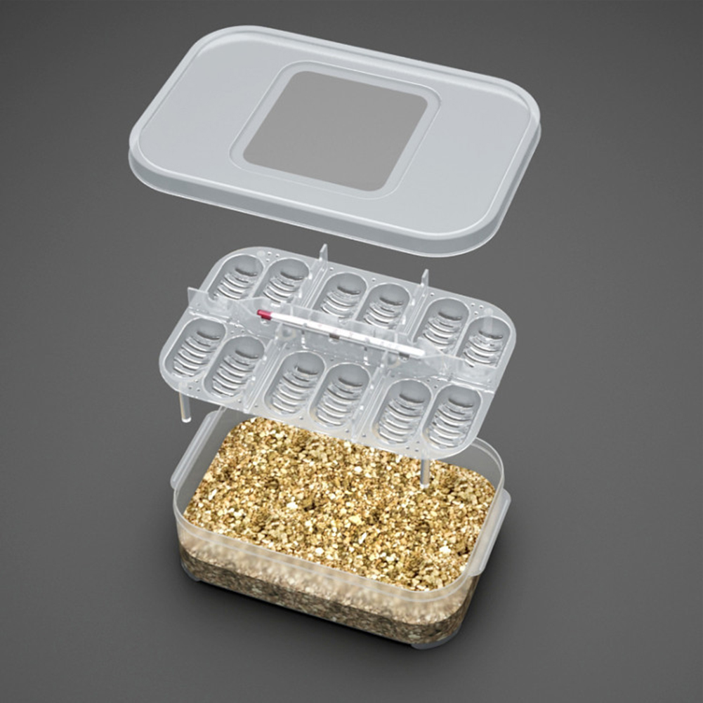 12 Compartments Hatching Eggs Device Snake Lizard Reptile Transparent Hatch Box Incubator Supplies. 