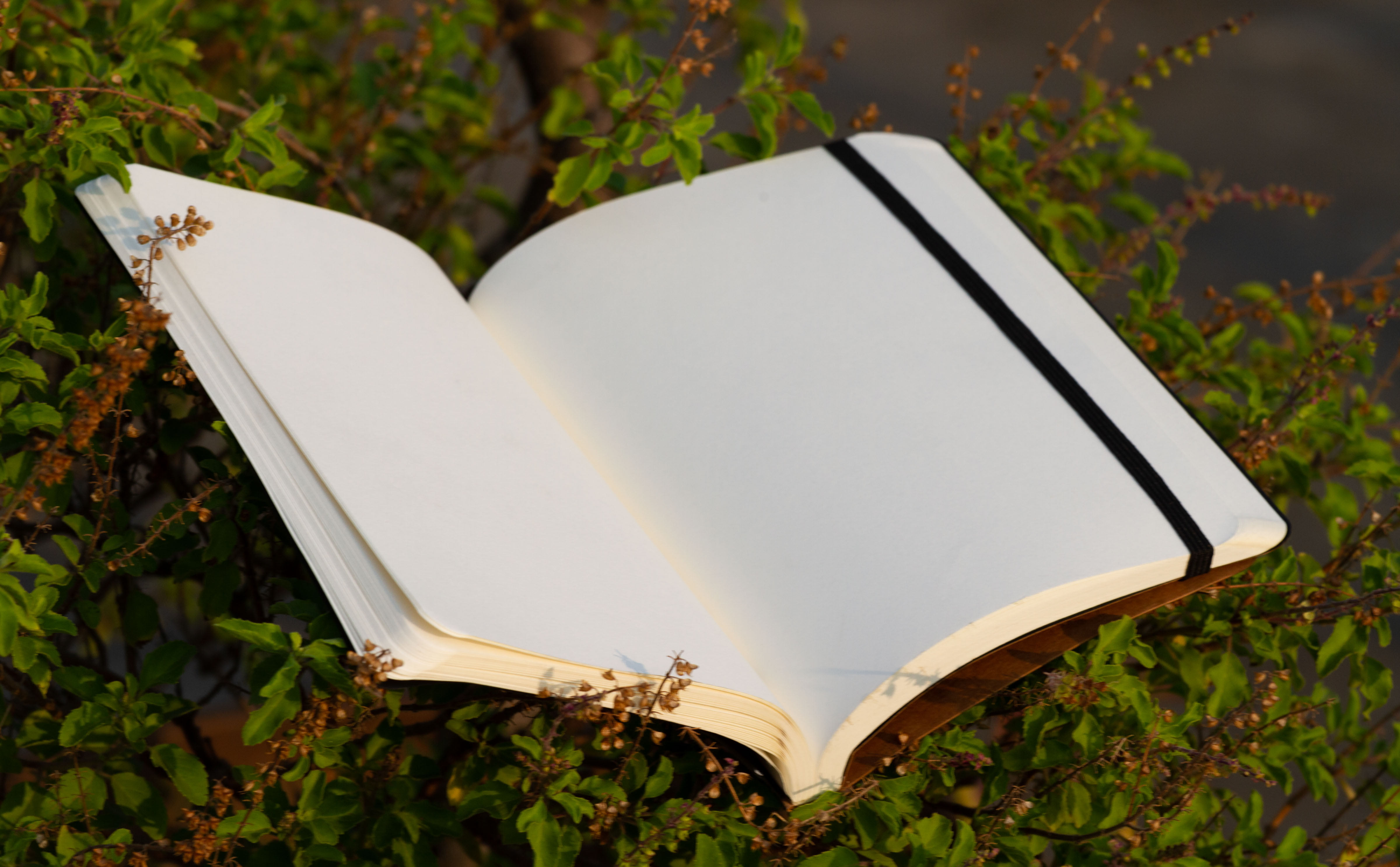 Daily Journal Black Notebook With Elastic Band - Notebook. 