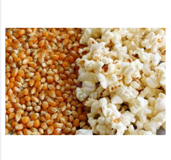 Pop Corn Bhutta-500gm