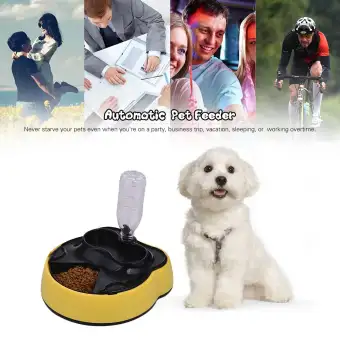 Automatic Pet Feeder Timing Dog Cat Food Dispenser 4 Meals Water