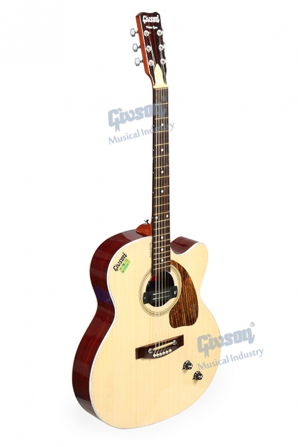 Givson acoustic guitar deals price