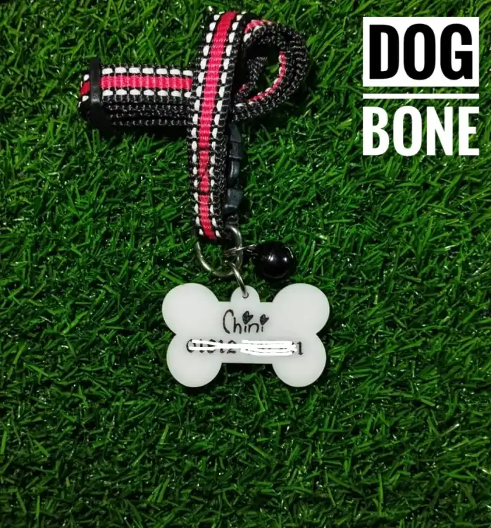 Mickey mouse outlet dog tag petsmart