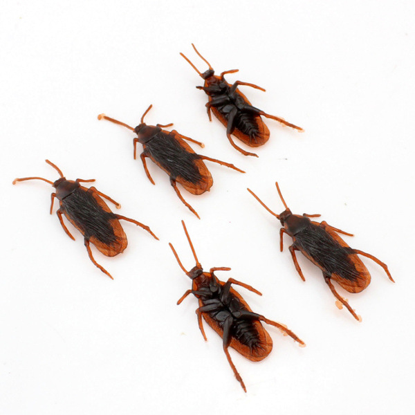 Cockroach 5 pcs Realistic Insect Prank Funny Toys Simulation Insect Toy Chinese Silicone Soft Simulation Plastic Cockroach Toy Realistic. 