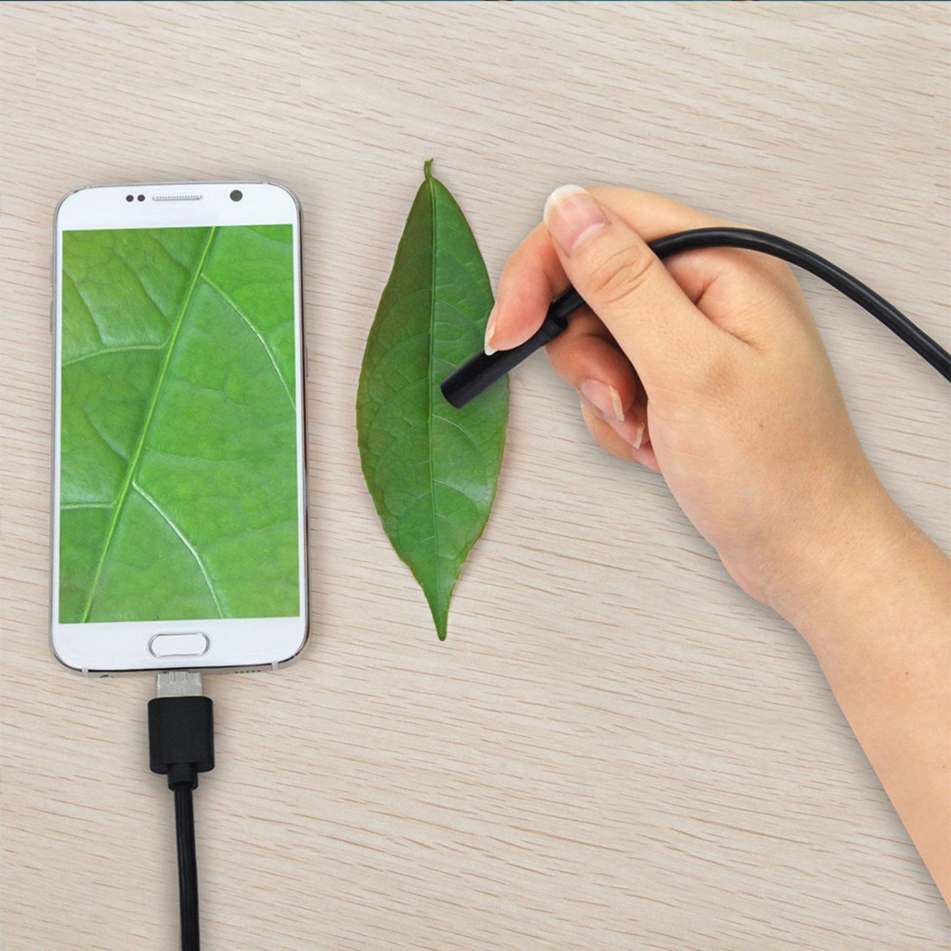 Endoscope Micro Camera. 