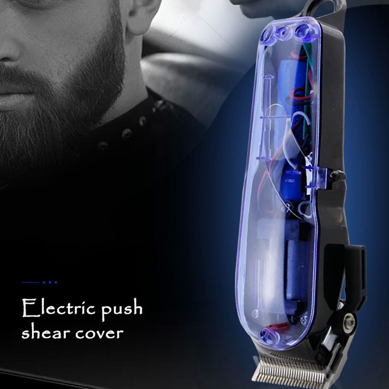 wahl 8148 price