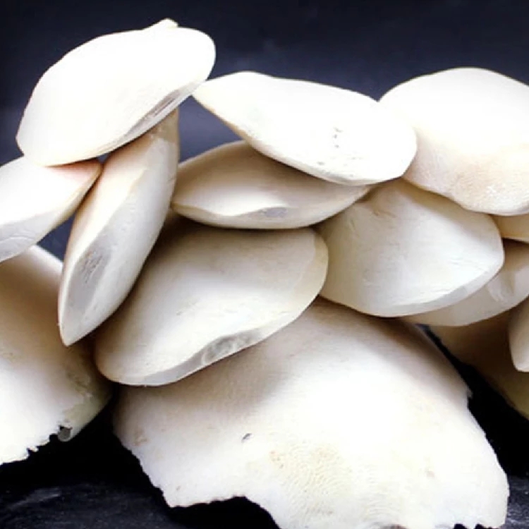 Cuttlebone Cuttlefish Bone Cuttle Fish Bird Food 100g. 