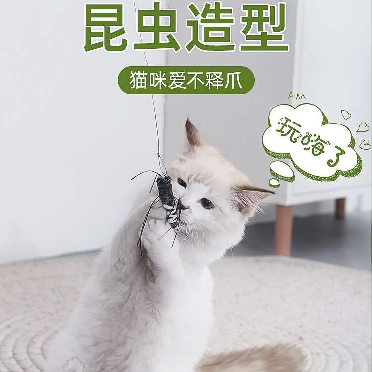AFP Insect Pussy Stick Toys Self Hi Relieving Magic Tool Bite Resistant Replacement Pet Cat Supplies Complete Collection