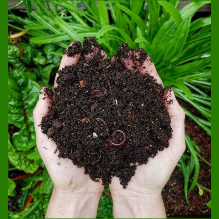 Vermicompost - ভার্মিকম্পোস্ট গন্ধ বিহীন কেঁচো বিহীন ১ কেজি প্যাক. 