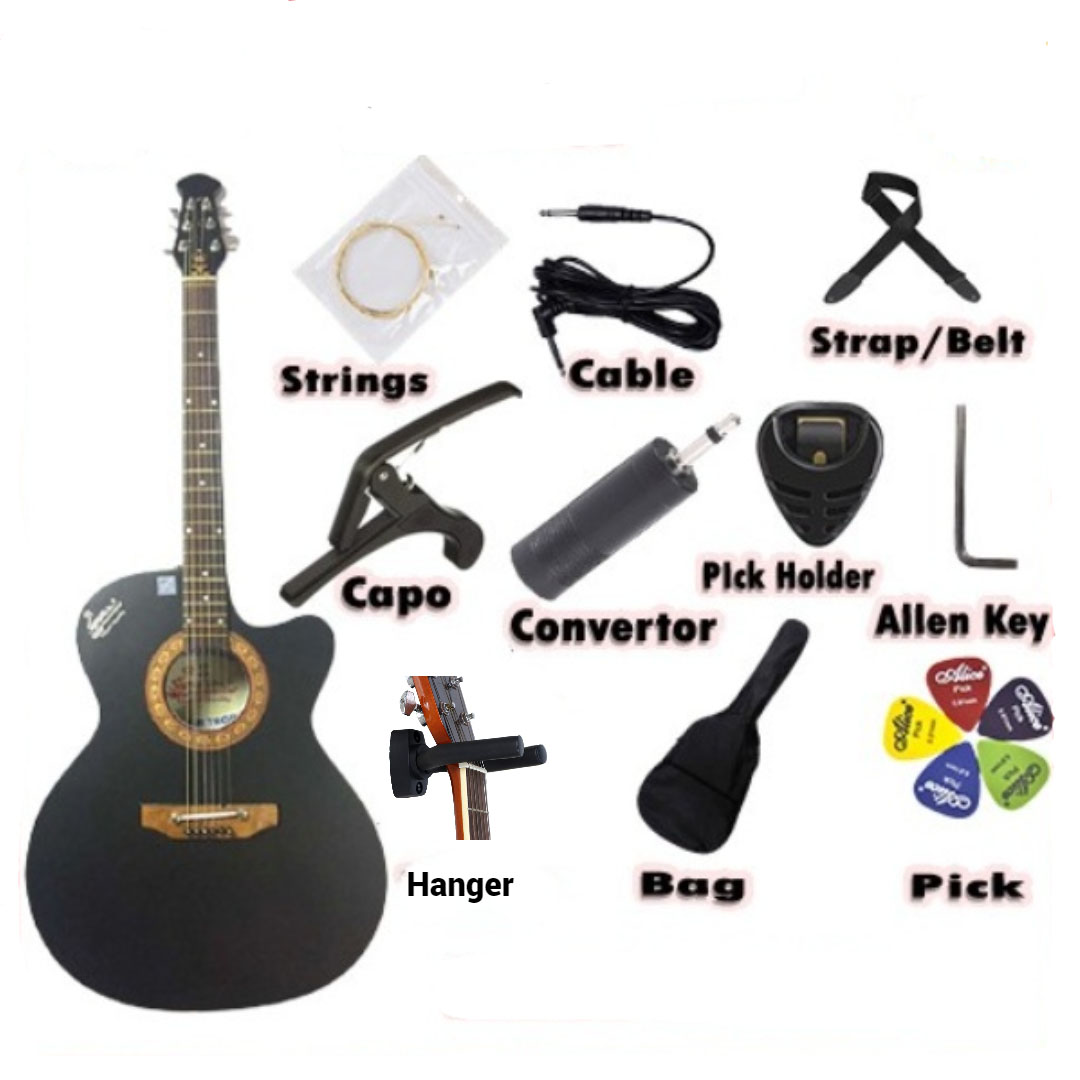 Signature 265 Loud Series Acoustic Best Guitar with Electric Output+