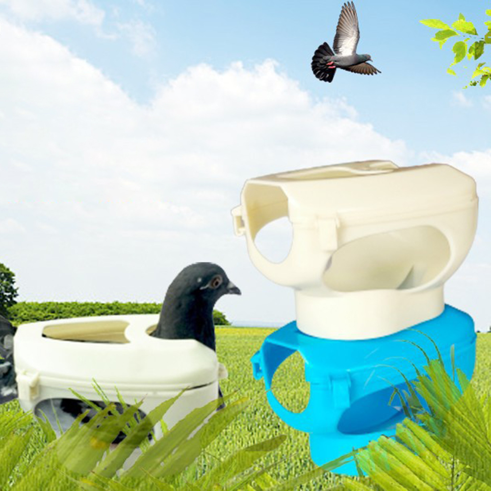 GC Pigeon Holder Plastic Pigeons Holder Bird Fixed Frame Rack Feeding Syringe For Birds Pigeon Parrot Chick Injection Feeding. 