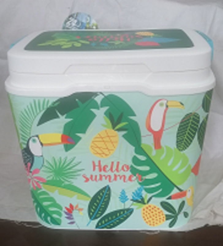 Thermal Ice Box 25 L. 