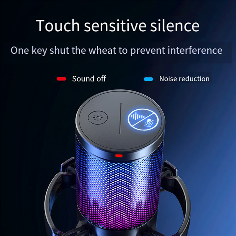 DGM20 USB Microphone RGB Condenser Mic Gaming Microphone with Noise Reduction Software for Game Live Recording Black 1 Piece. 