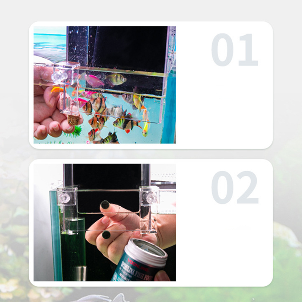 Acrylic Fish Tower Aerial Extender Fish Tank For Ecological Landscaping Convenient Observation Viewing Area Increase Bigger Space. 
