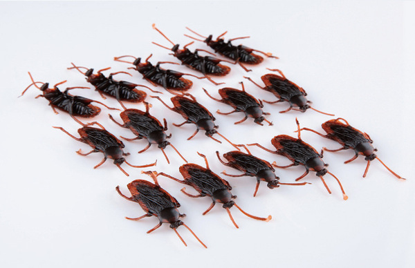 Cockroach 5 pcs Realistic Insect Prank Funny Toys Simulation Insect Toy Chinese Silicone Soft Simulation Plastic Cockroach Toy Realistic. 