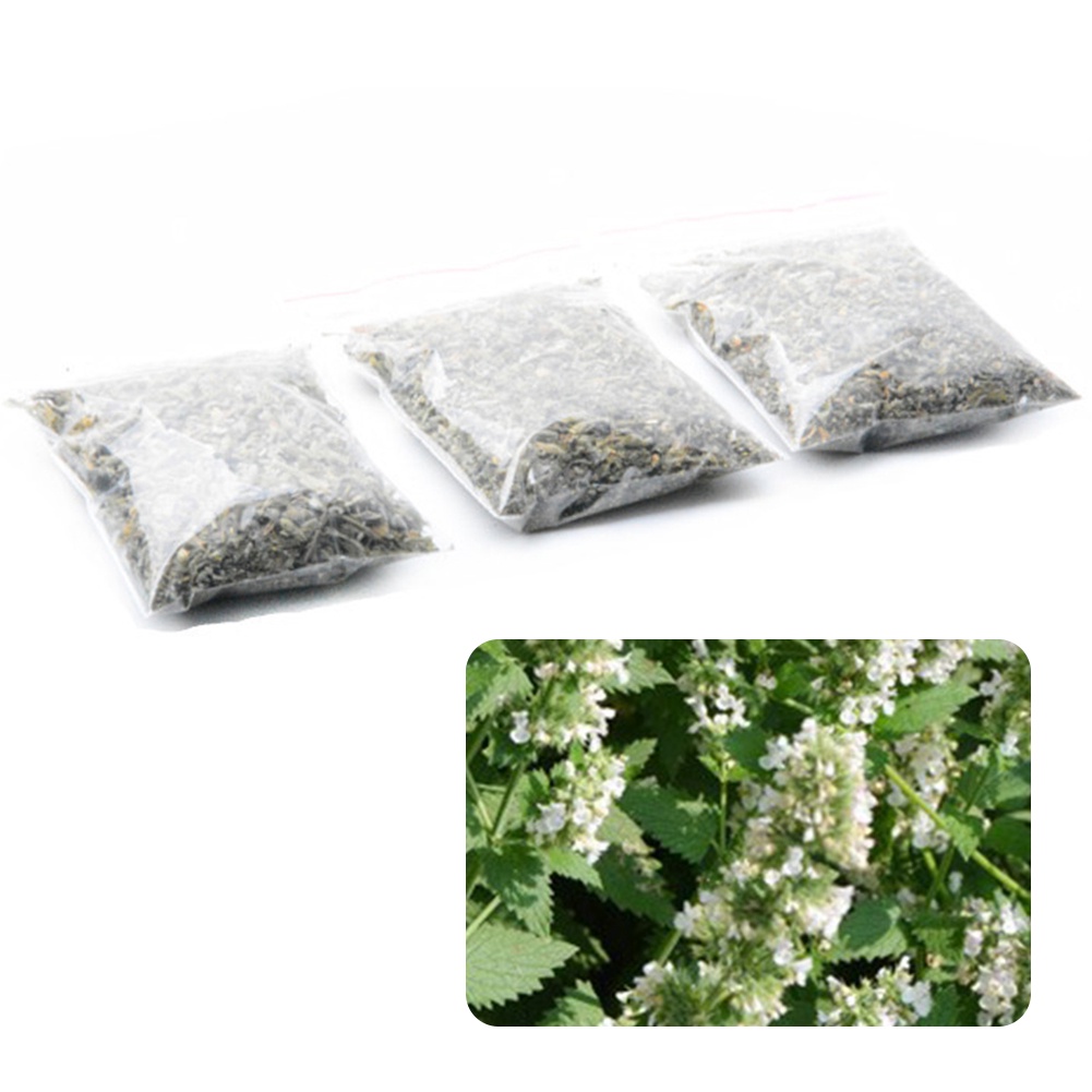 [Vip]1 Bag 5g Natural Sundried Catnip Flower Branches Leaves Cat Kitten Healthy Food. 