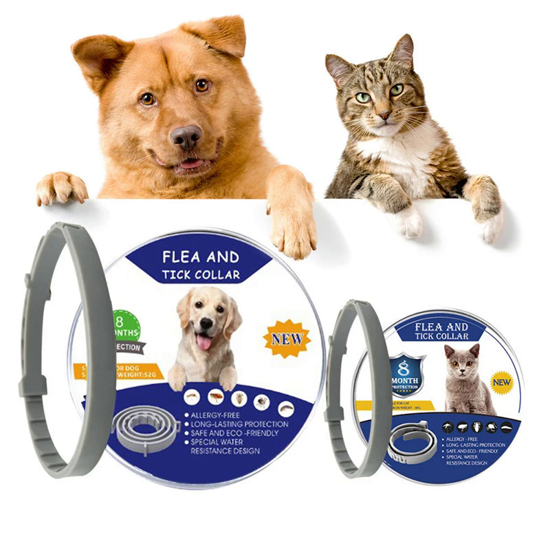 Hot joeor flea collar Store