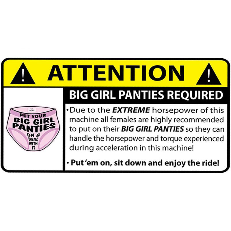 2pk Funny Warning Decal Sticker NO BRA & PAINTIES Vinyl Graphic 3M Trunk Car - Foto 6