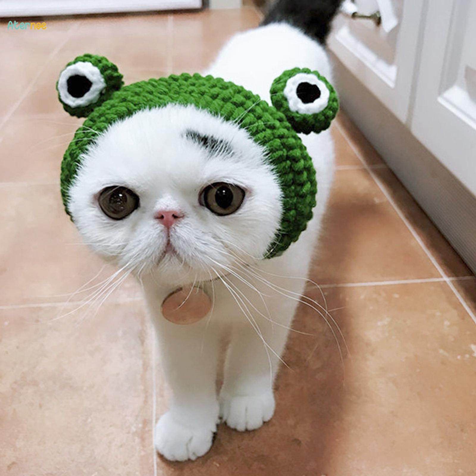 Dog Cat Frog Hat Party Costume Accessory Headwear Grooming Accessories Lovely Pet Hat for Costume M