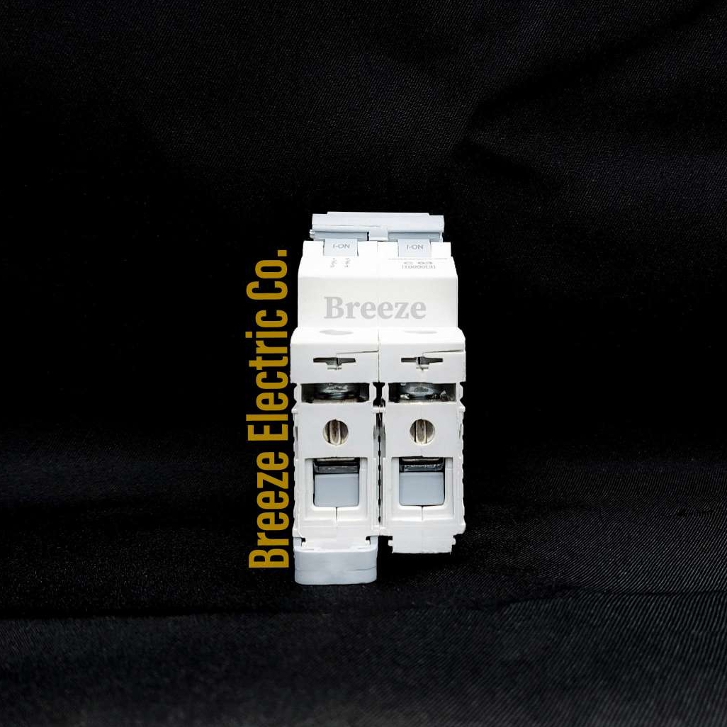 Havells Circuit Breaker 63A DP MCB.  Model: Euro-II. India.. 