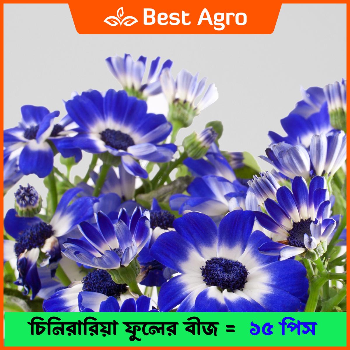 Flowers Name In Marathi With Picture Best Flower Site