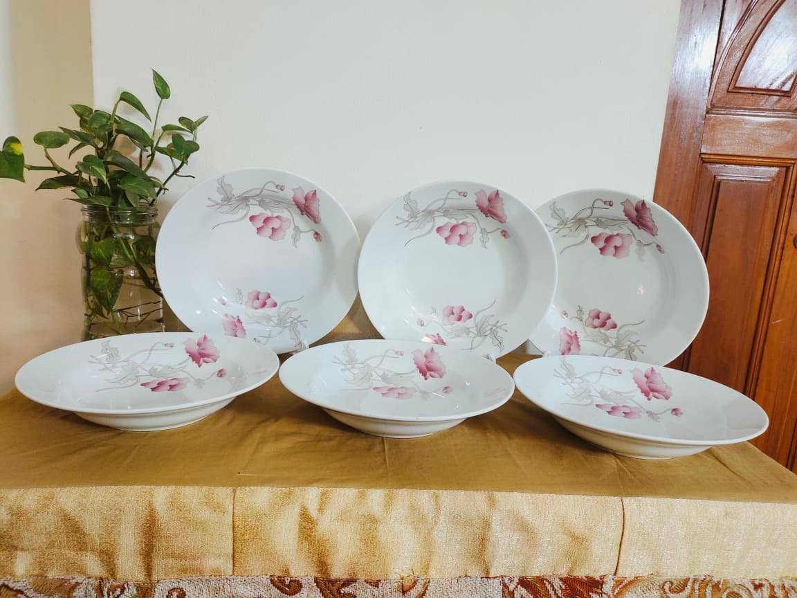 2-Piece Ceramic Dinner Plate Set White With Full Body Flower Print 9 Inch - Elevate Your Dining Experience With This Set Of Two Ceramic Dinner Plates Featuring A Charming Flower Print Design. 