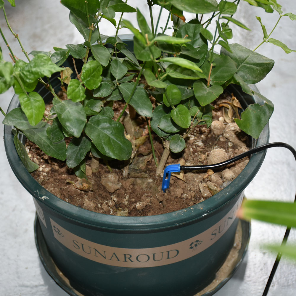 2L 4L 8L Dripper Micro Irrigation 1/2/4-way Arrow Dropper Connector Cross Water Splitter Emitter Drip Arrow Irrigation System. 
