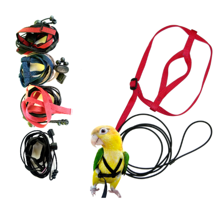 Flying Training Adjustable Parrot Birds Hernass lash pet bird accessories
