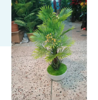 Bonsai Plant With Matir Tob-4