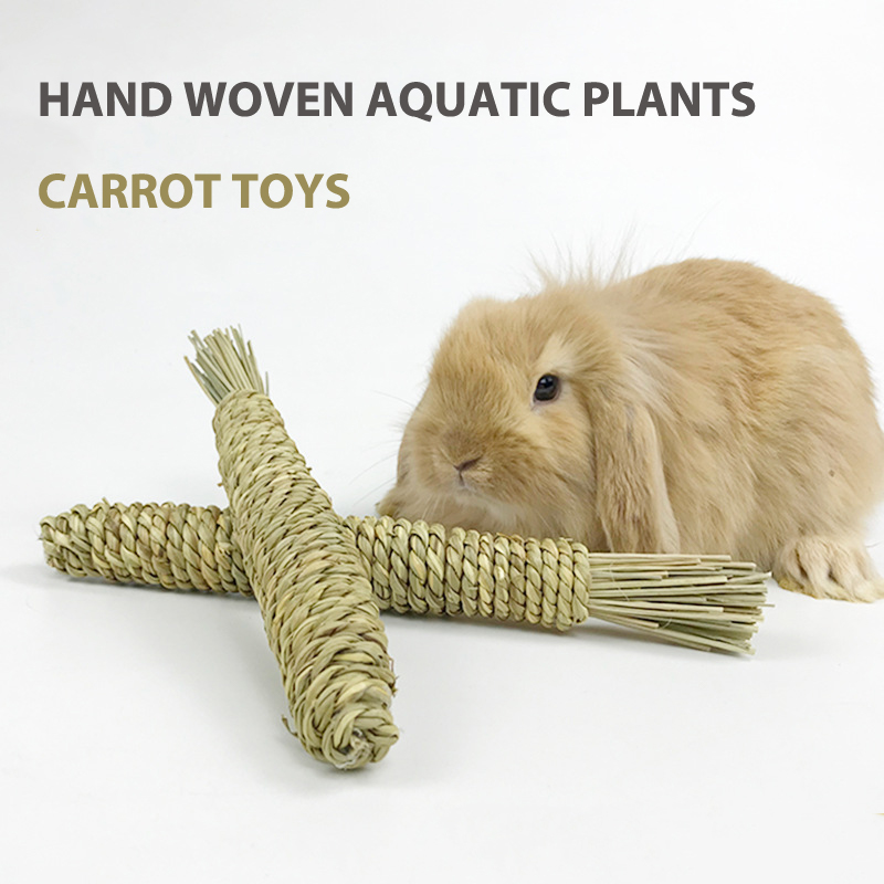 Rabbit Chew Toys Grass Woven Natural Rabbit Chew Carrot Rabbit Chew Sticks Sunlight Mall. 