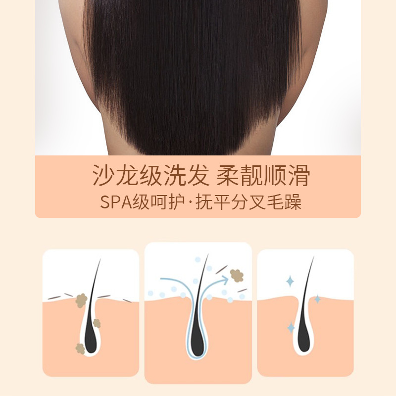 Hot-Selling Genuine Goods Black Ganoderma Lucidum Polygonum Multiflorum Shampoo Anti-Dandruf and Relieve Itching Shampoo Anti-Hair Removal and Hair Loss Prevention. 