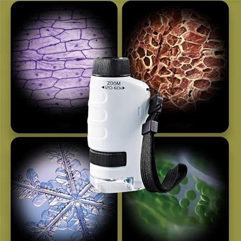 Minilabsters Miniscope Kids, Mini Labsters Portable Microscope, Mini Labsters Portable Microscope (White) Easy to Use. 