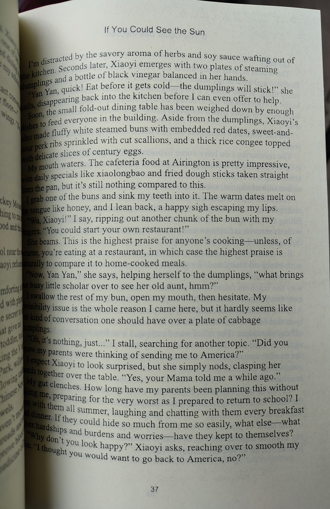 If You Could See the Sun Book by Ann Liang. 