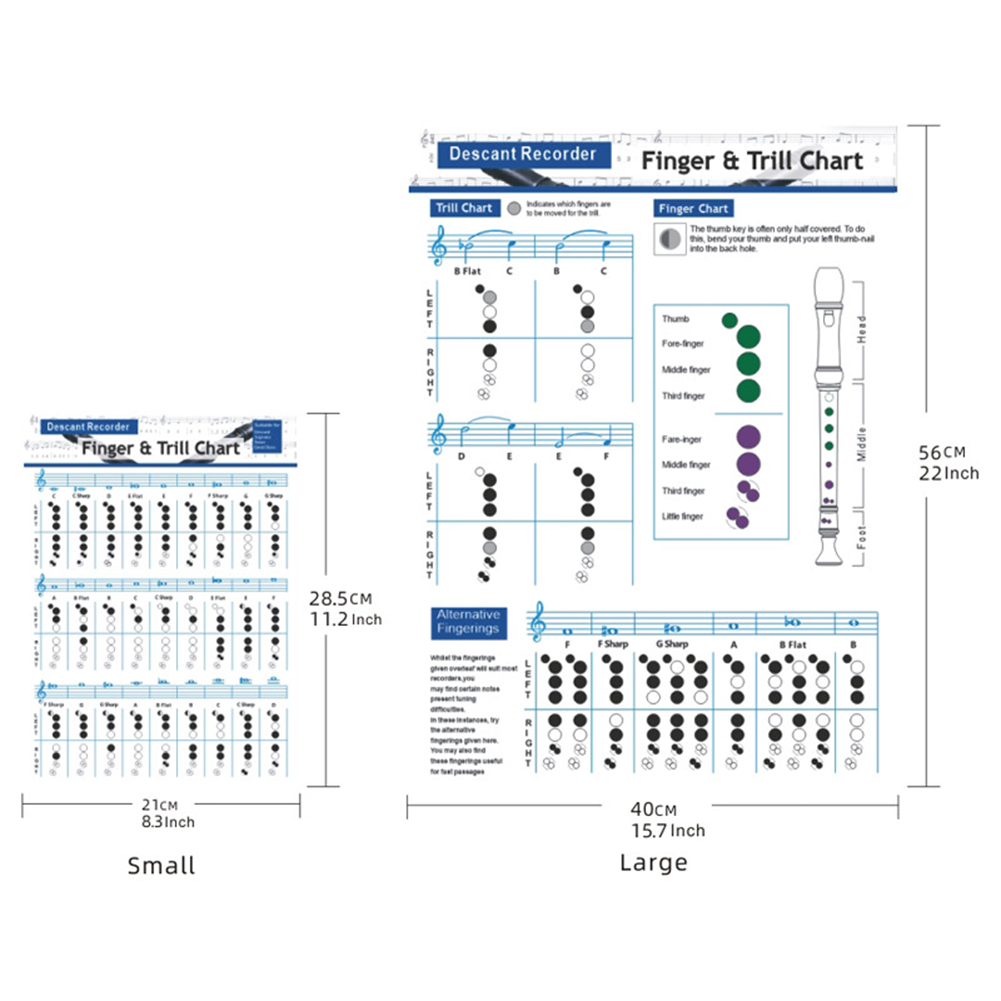 Recorder Chords Scales Chart Master Recorder Chord Progressions Reference Poster Recorder Chords Theory Poster For Beginners Teacher. 