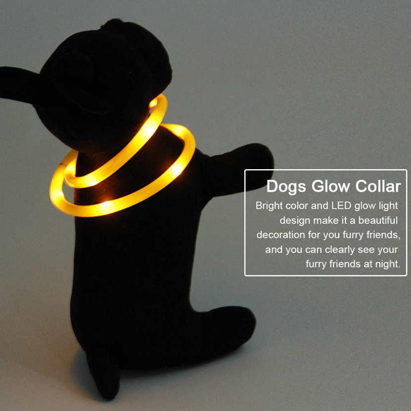 Can Dogs See Flashing Lights