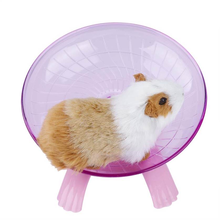 guinea pig exercise wheel