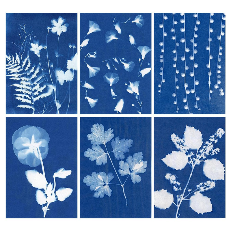 60 Sheets Sun Print Paper Cyanotype Paper Kit, A6 Sun Art Paper with 1 Plastic Tool for Sun Printing, Solar Paper. 