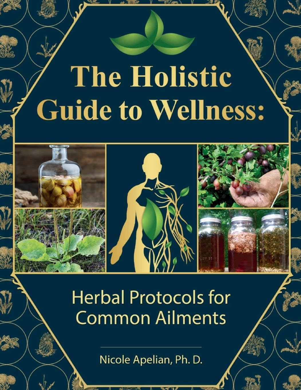 The Holistic Guide to Wellness : Herbal Protocols for Common Ailments by Nicole Apelian, Ph.D