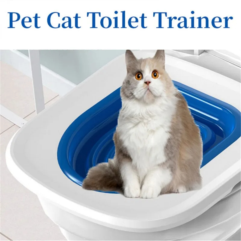The Toilet How Do You Teach A Kitten To Use The Litter Box The