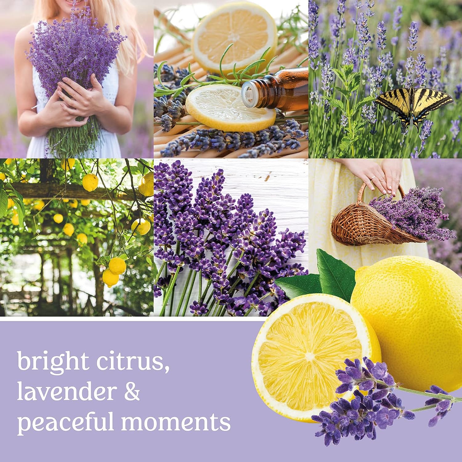 Yankee Candle Classic Large Jar Lemon Lavender (Fresh) 623G. 