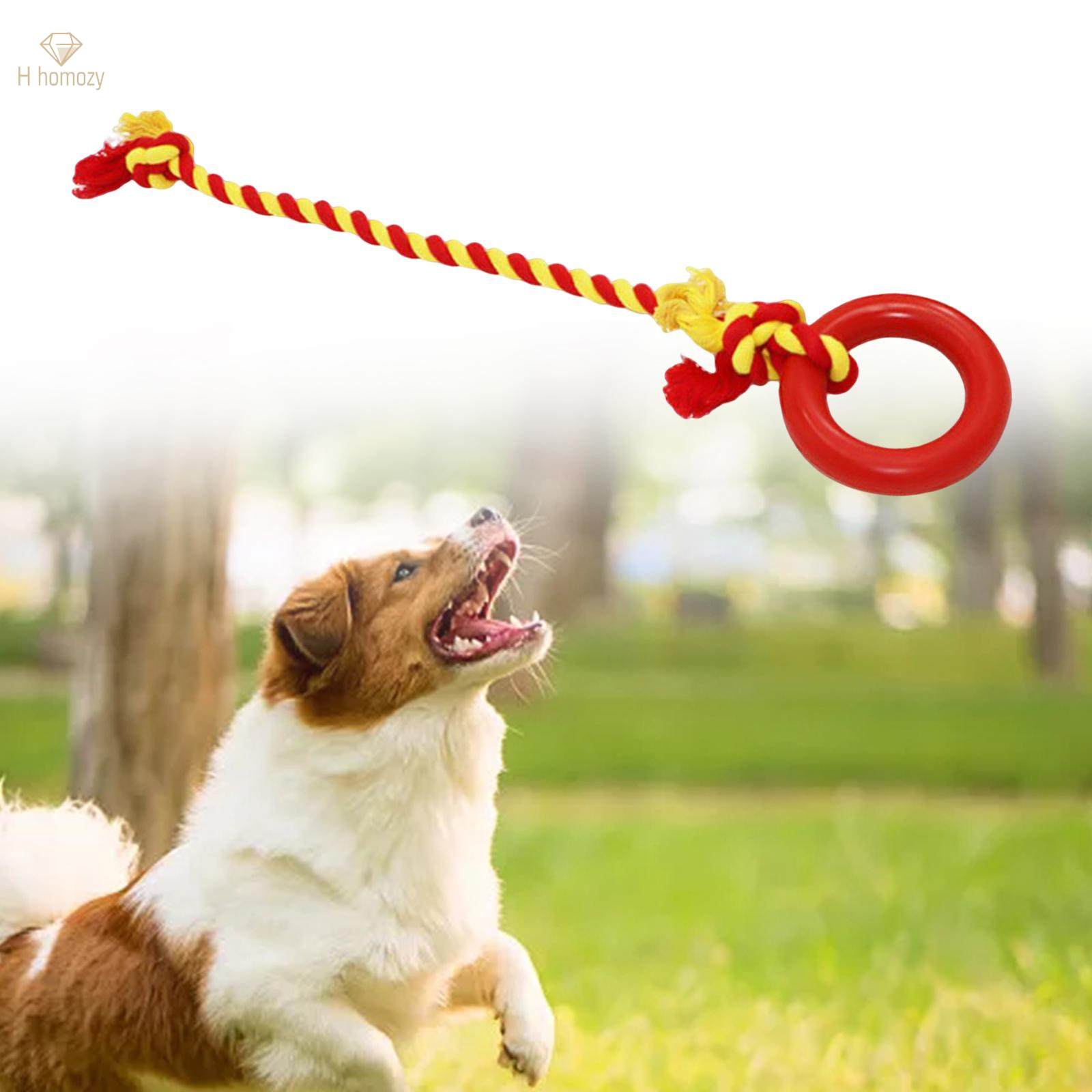 Chew Toys Yard Running Puppy Garden Dogs Rope Toy Interactive Dog Tug Toy Red. 